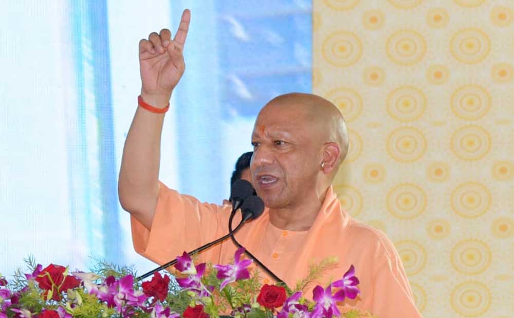 Yogi 01 20.jpg