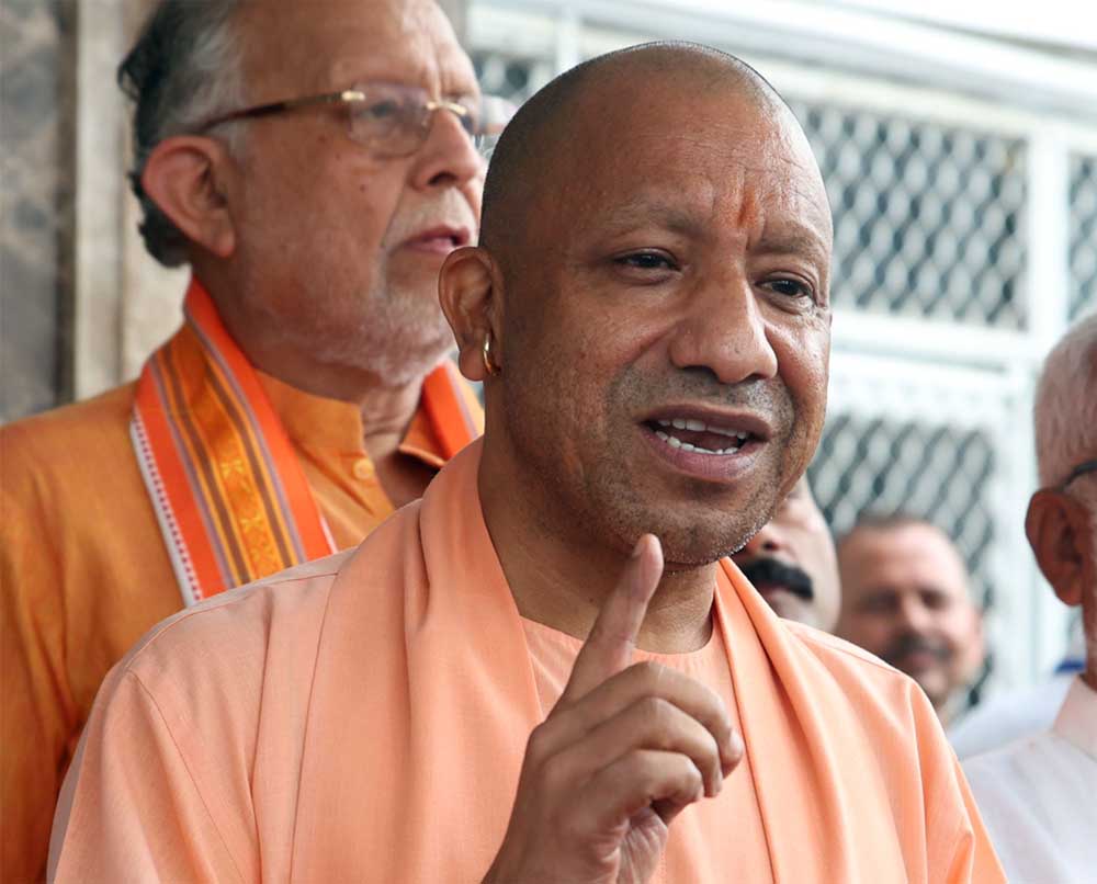Yogi 02 1.jpg
