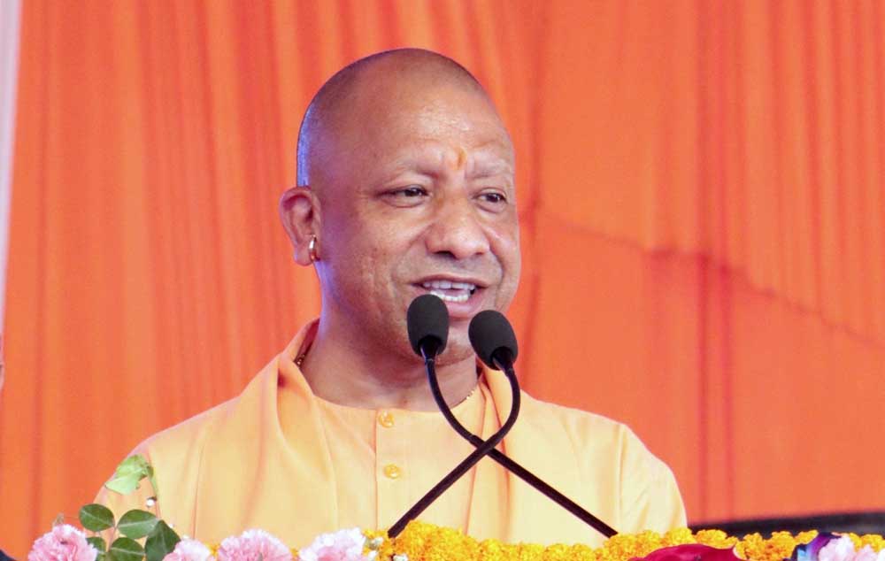 Yogi 06 1.jpg