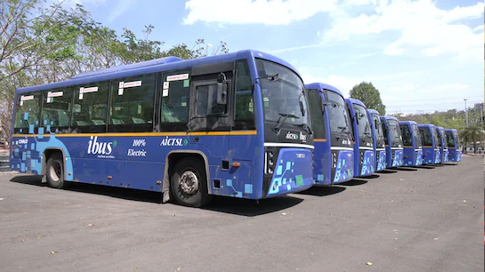 Bus 81 2.jpg