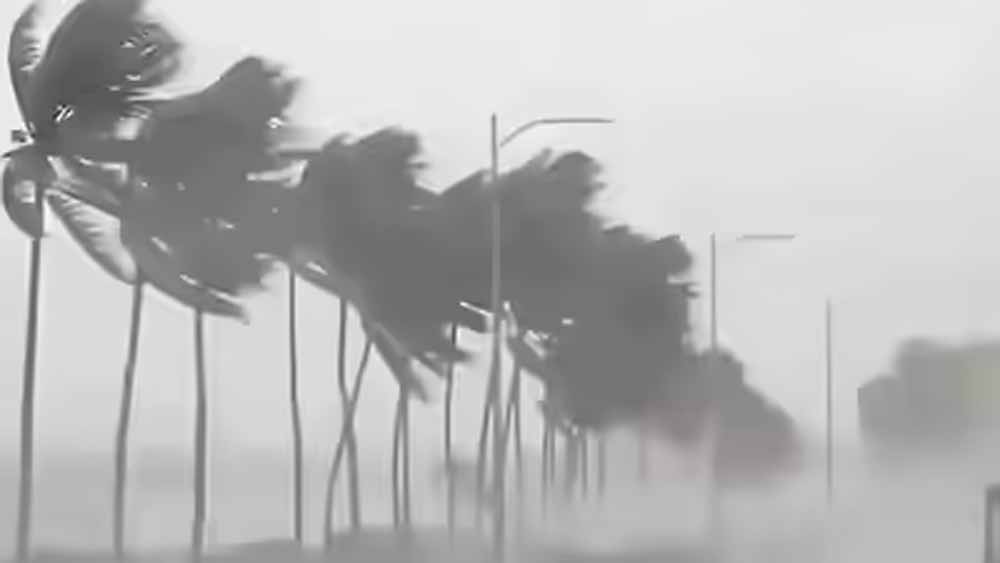 Rain 2 4.jpg
