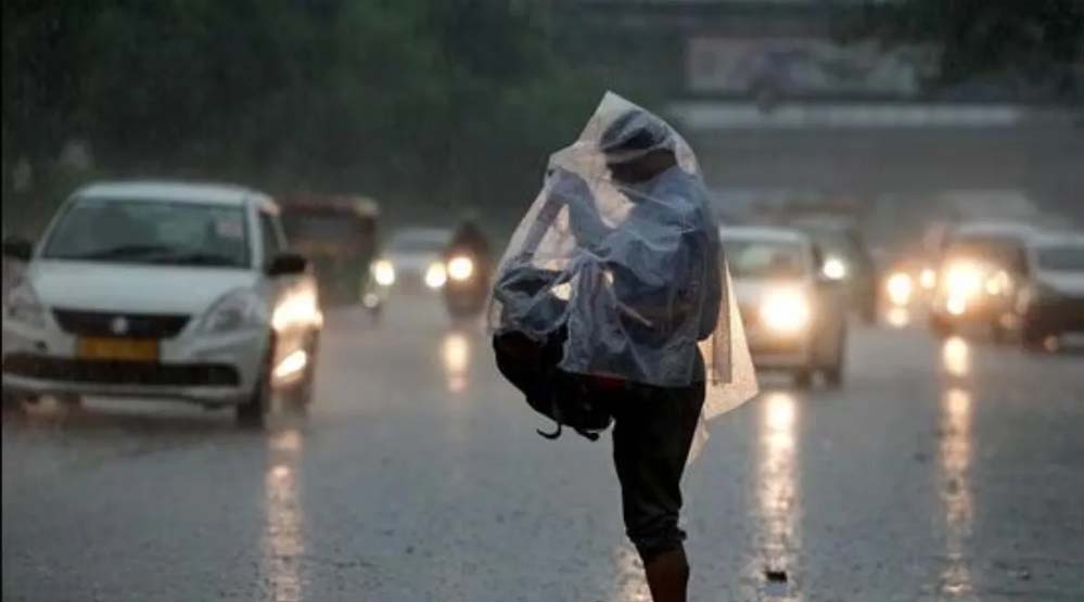 Rain 81 4 2.jpg