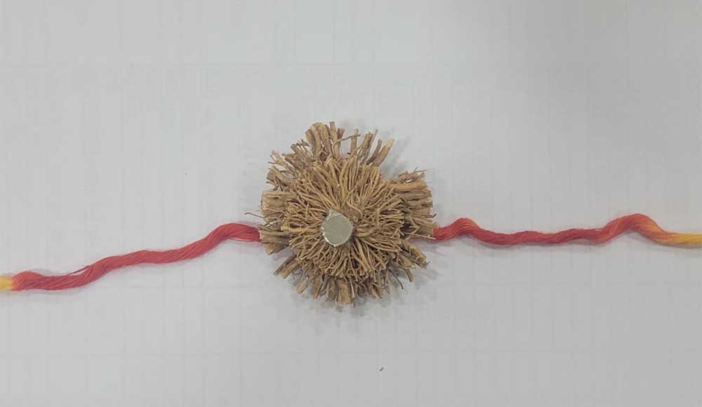 Rakhi 01.jpg
