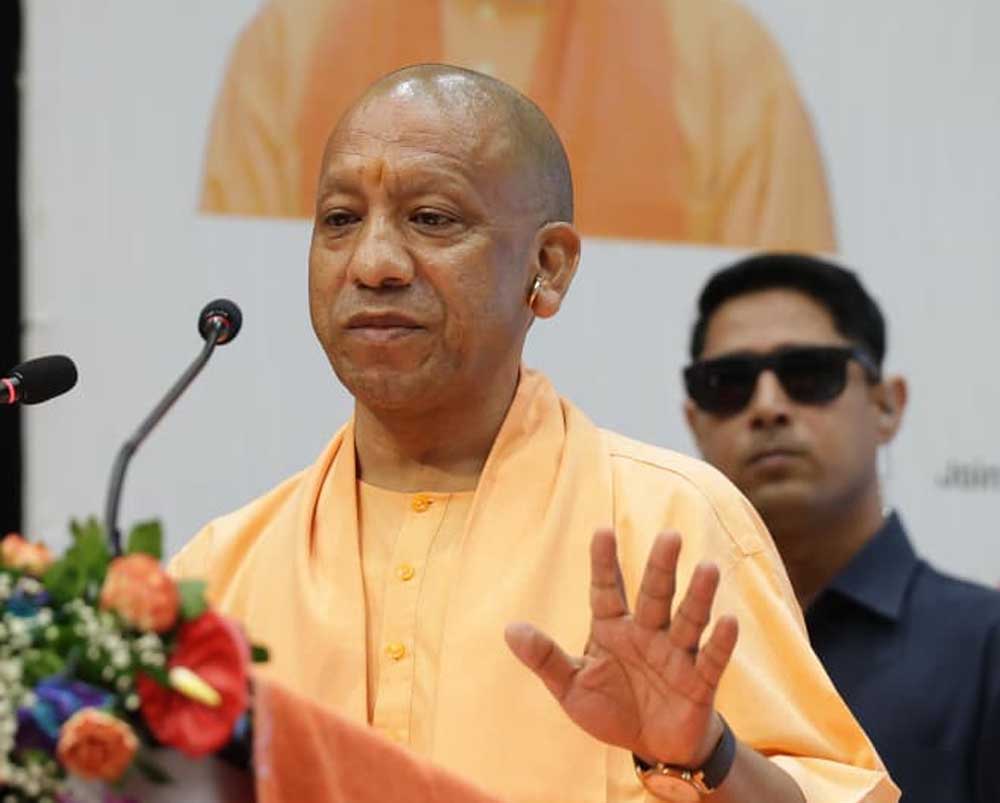 YOGI 02 8.jpg