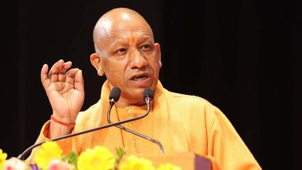 Yogi.jpg