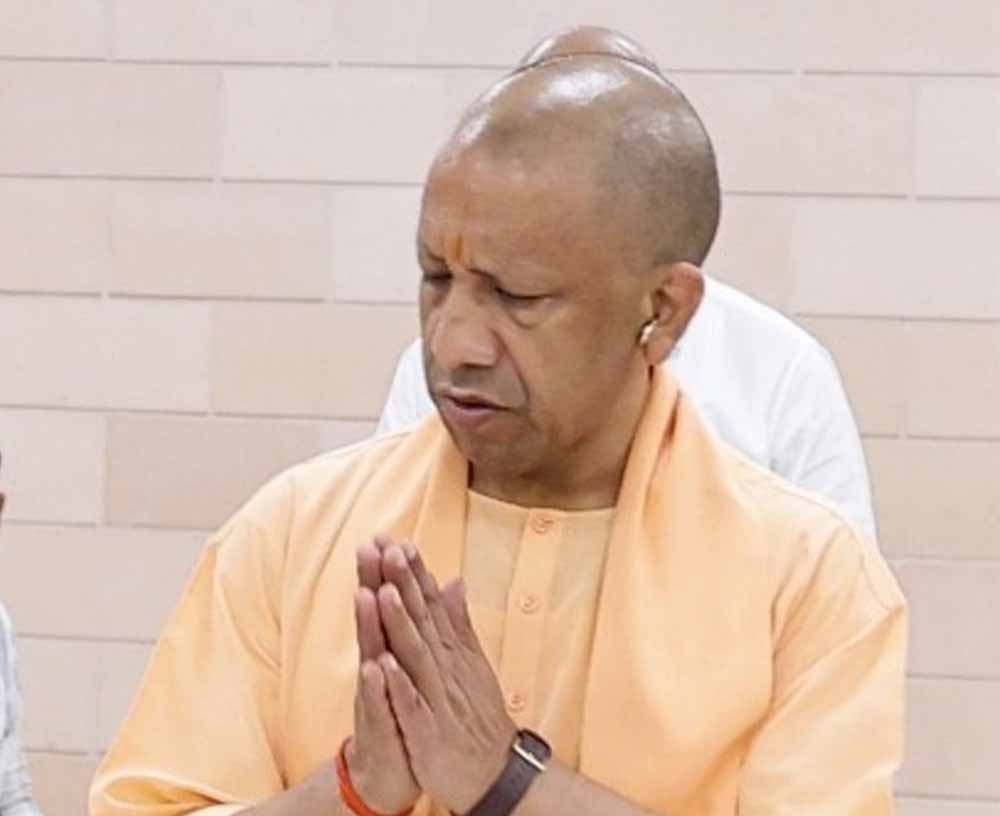 Yogi 07 9.jpg