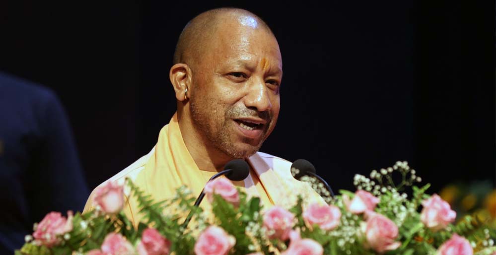 Yogi 0 2 3 5.jpg