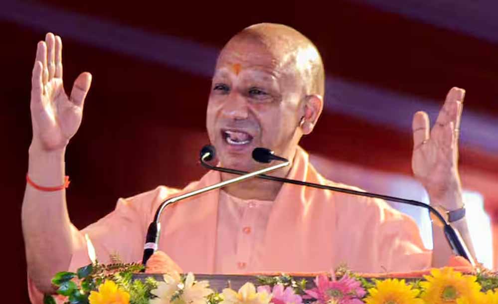 Yogi 102 2 4.jpg