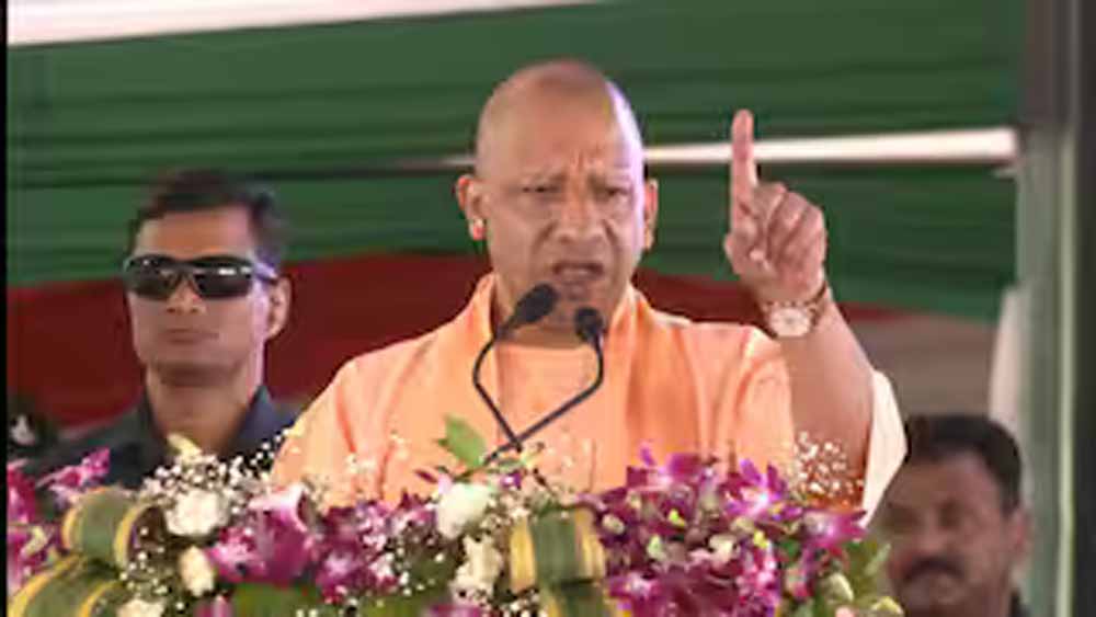 Yogi 3 1.jpg