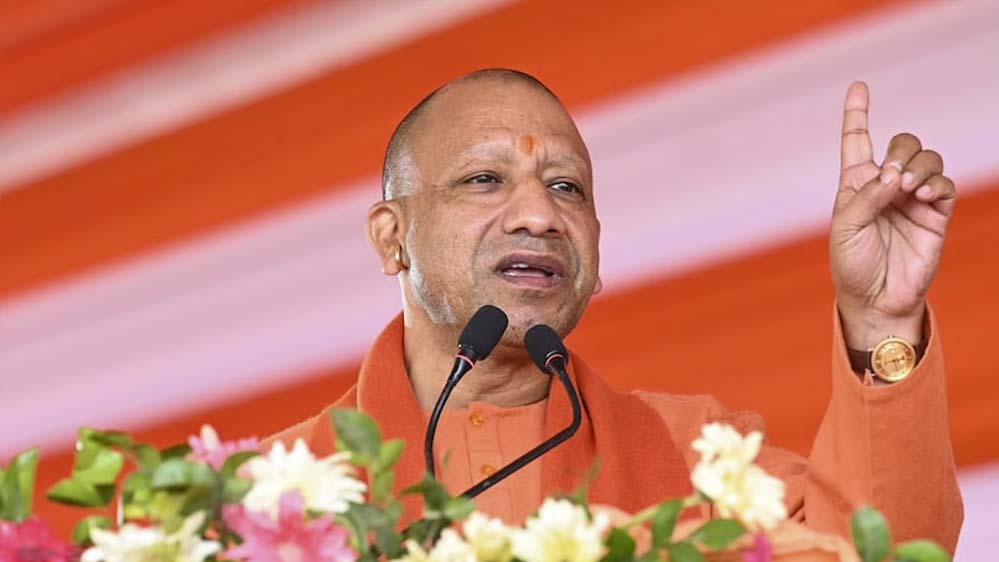 Yogi 31 1 3.jpg