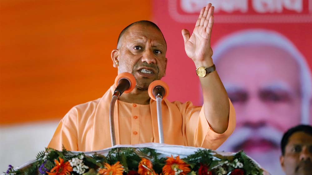 Yogi 31 3.jpg