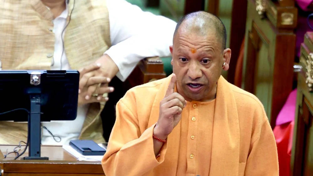 Yogi 3A 111 1.jpg