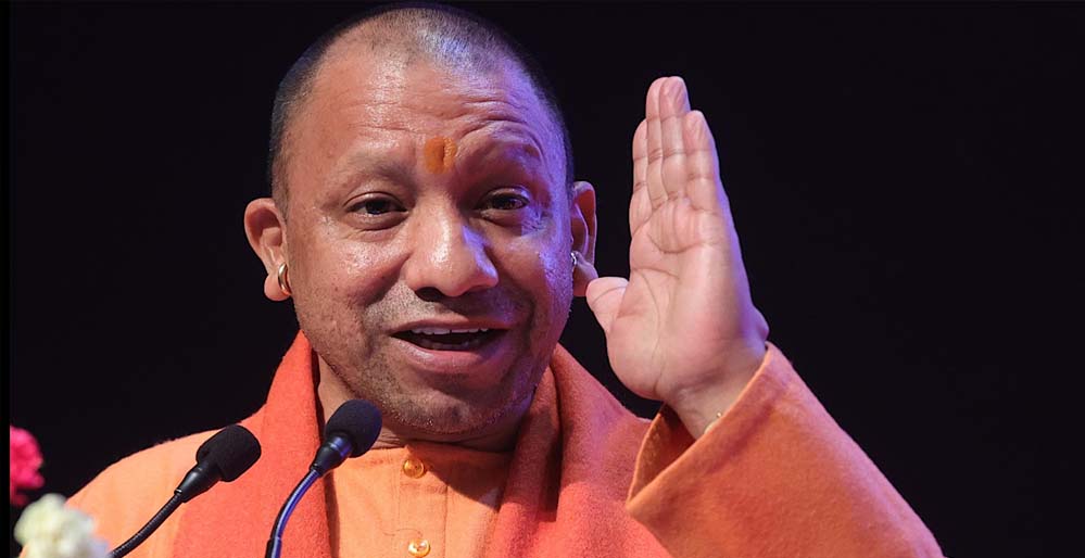 Yogi A 14 1 4.jpg