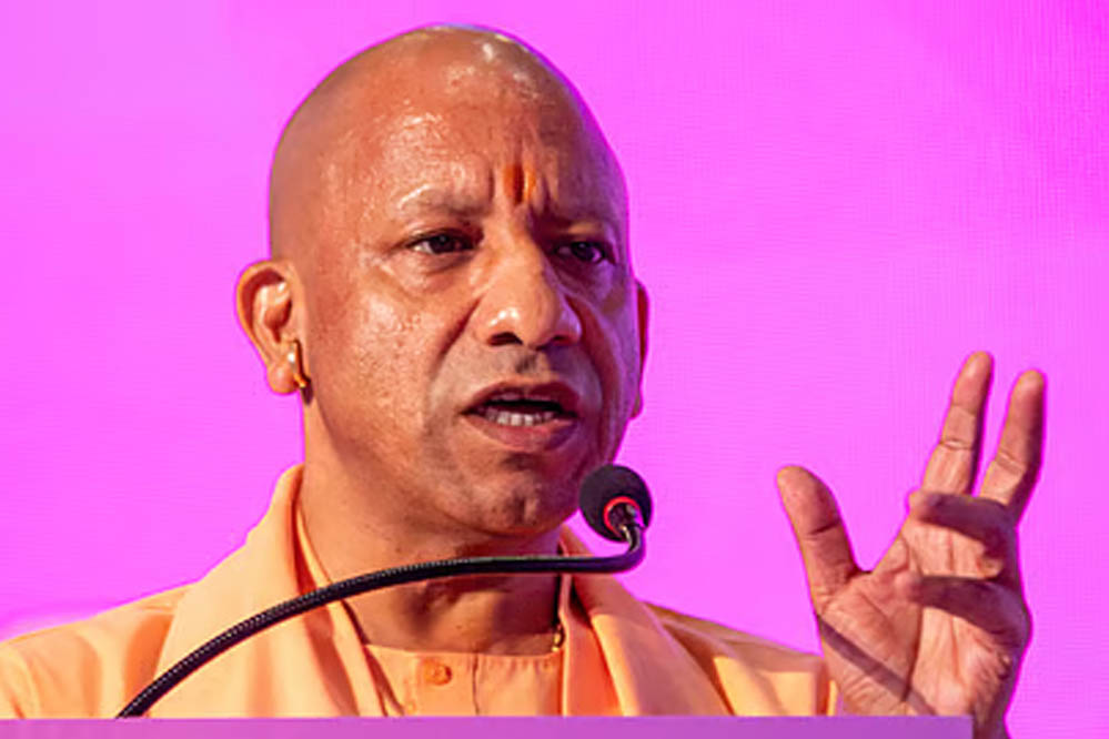 Yogi A 26 2 3.jpg