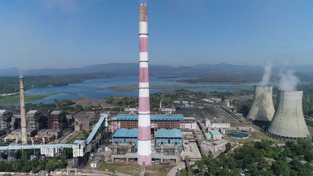 Plant 01.jpg