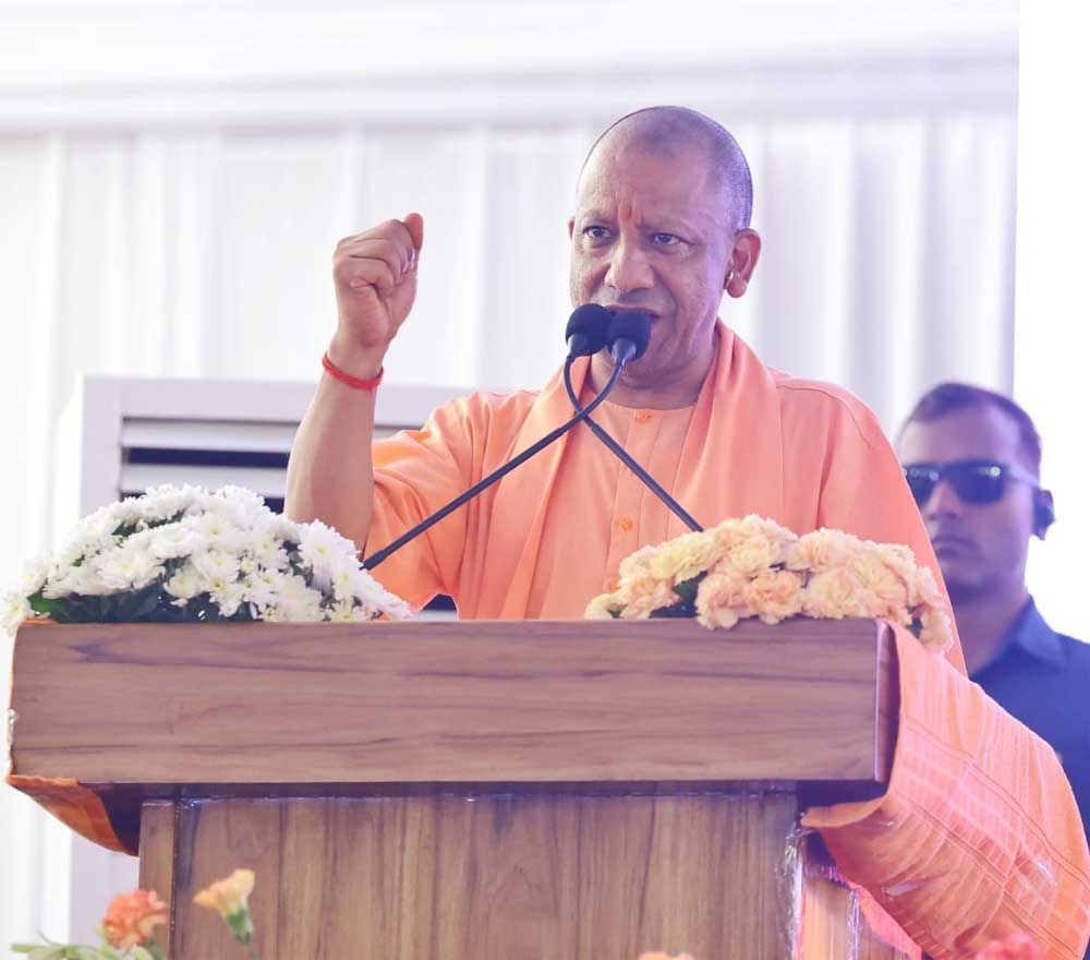 Yogi 01 17.jpg