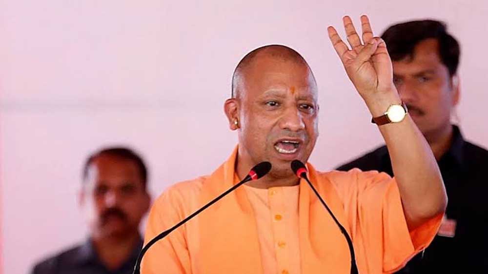 Yogi 01 jpgjjjjj.jpg