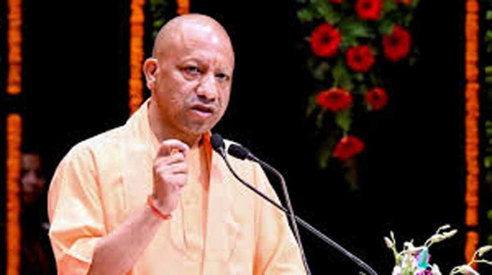 Yogi 04.jpg