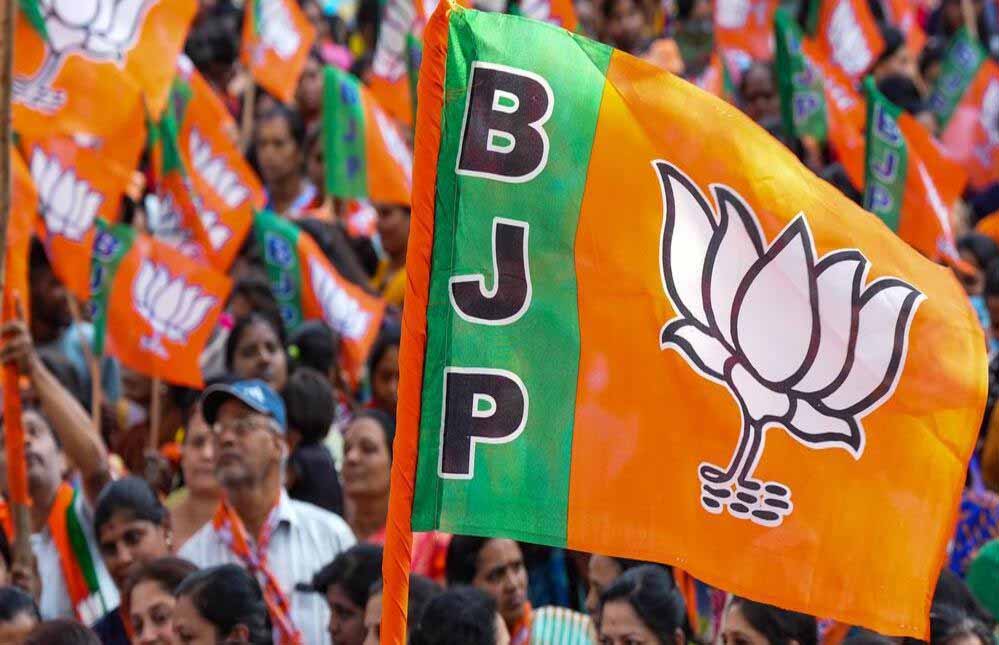 Bjp53 3 2.jpg