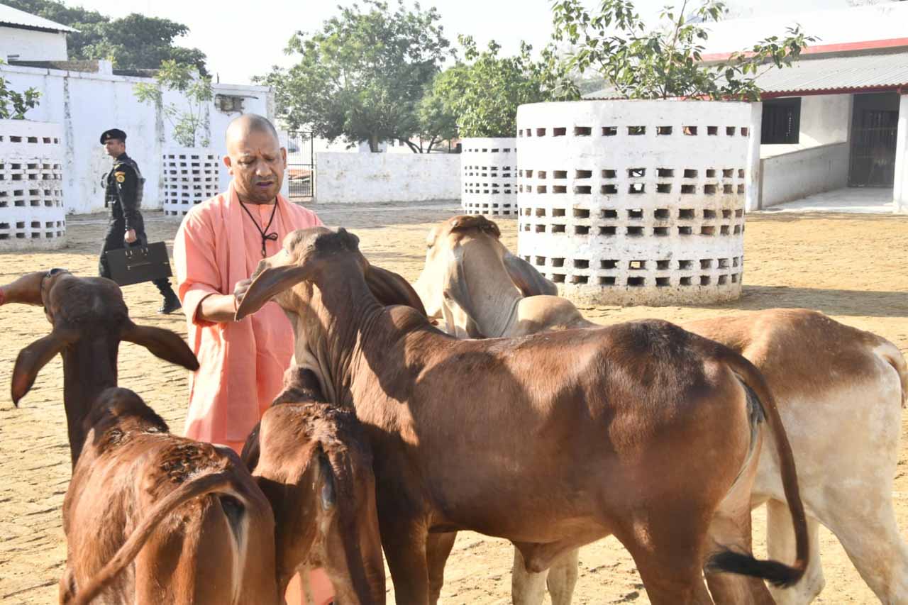 Gosewa.jpg