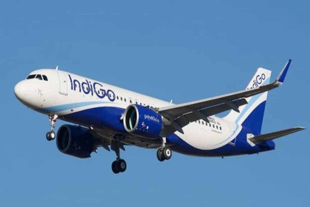 Indigo154.jpg