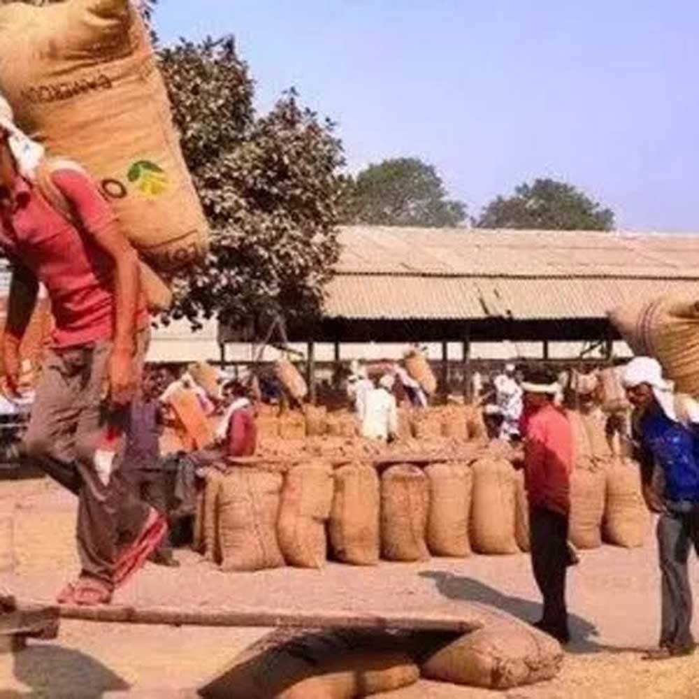 KISAN 3.jpg