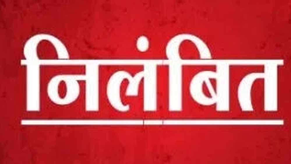 Nilmbit suspended 3 3.jpg