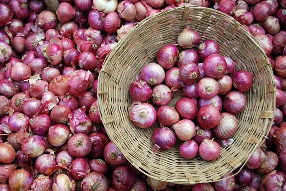 Onion 7 4.jpg