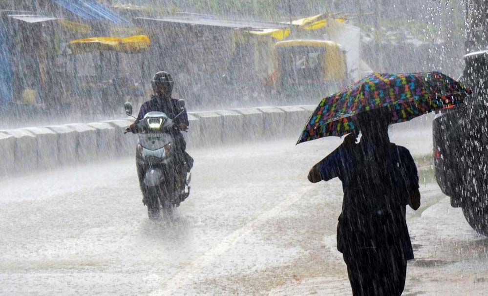 Rain 7A 34 1 2.jpg