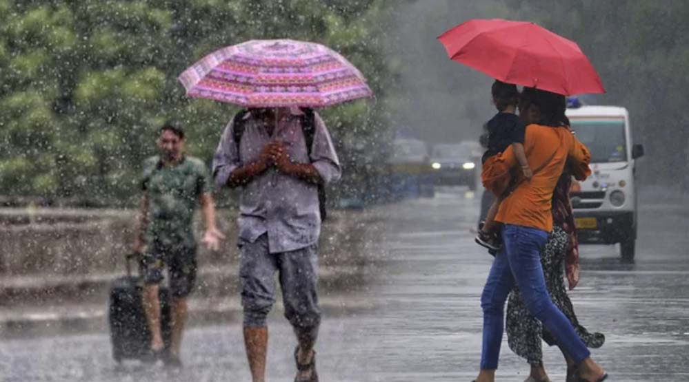 Rain 81 3 2.jpg