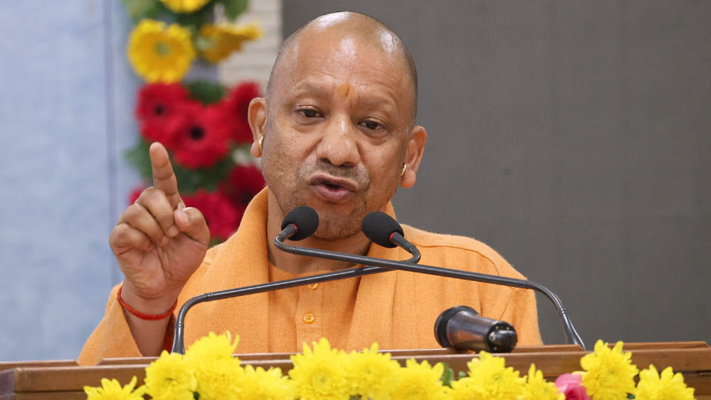 Yogi 133 6 2.jpg
