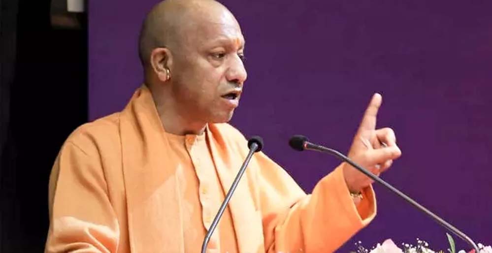 Yogi 2 27 1.jpg