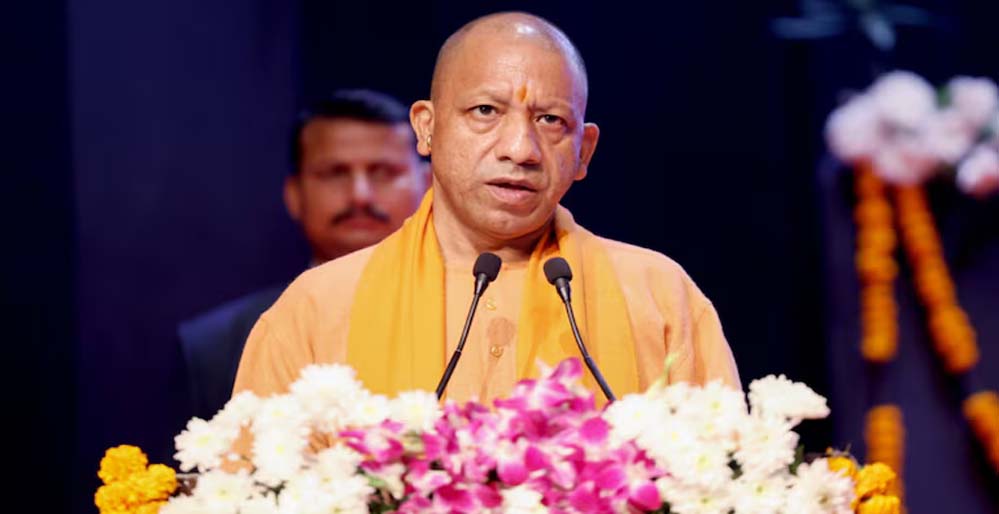 Yogi A 14 2 2.jpg