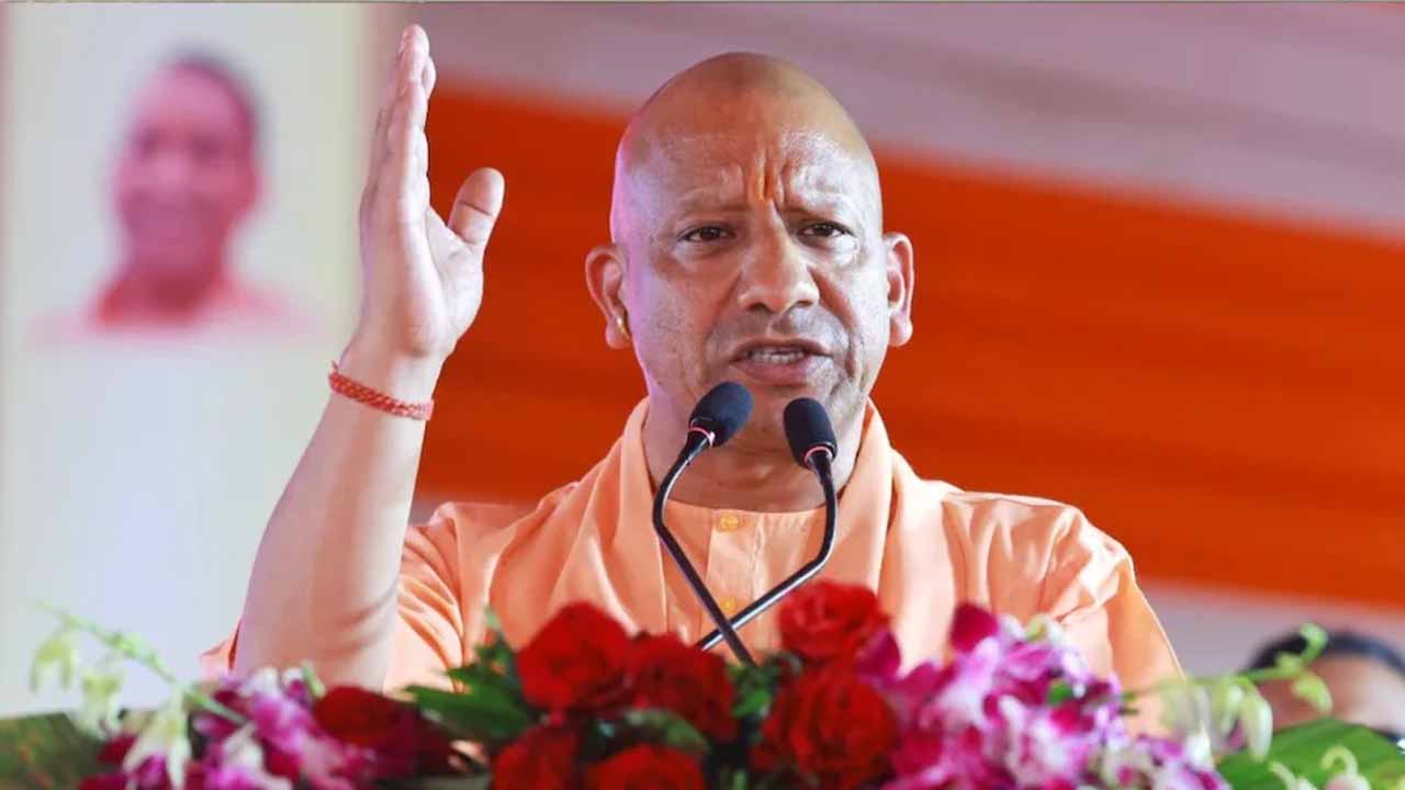 Yogi nnn 2.jpg