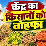रबी फसलों के MSP में बढ़ोतरी, दलहन-तिलहन पर सरकार का खास जोर