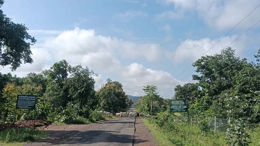 Chhattisgarh News 01 1 1.jpg