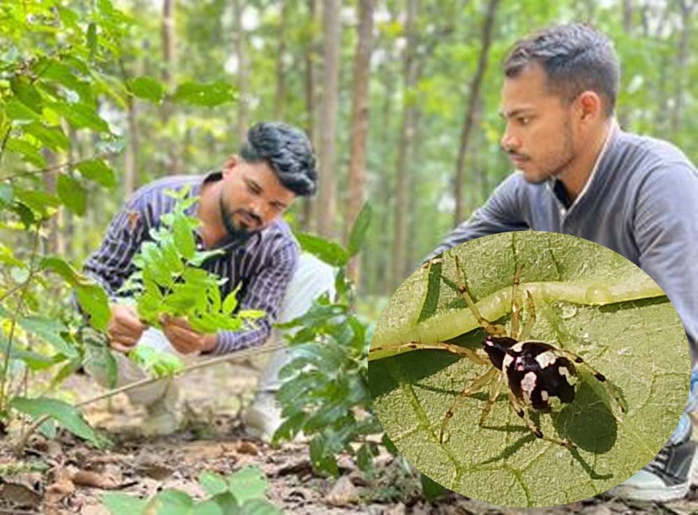 Chhattisgarh News 02 1 20.jpg