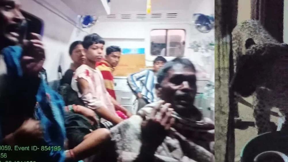 Chhattisgarh News 08 2.jpg
