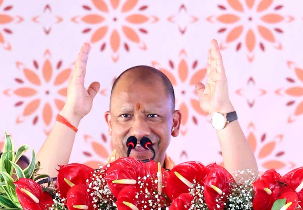 Yogi 02.jpg