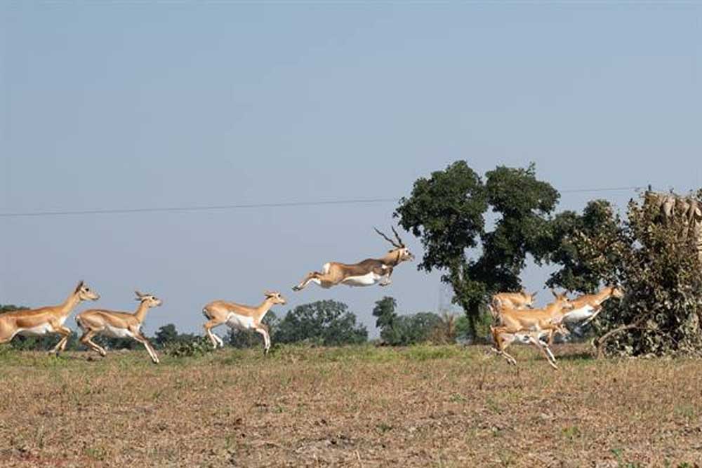 HIRAN 06.jpg