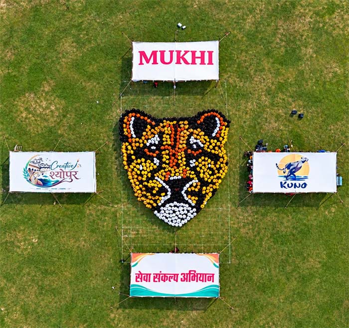 Rangoli.jpg