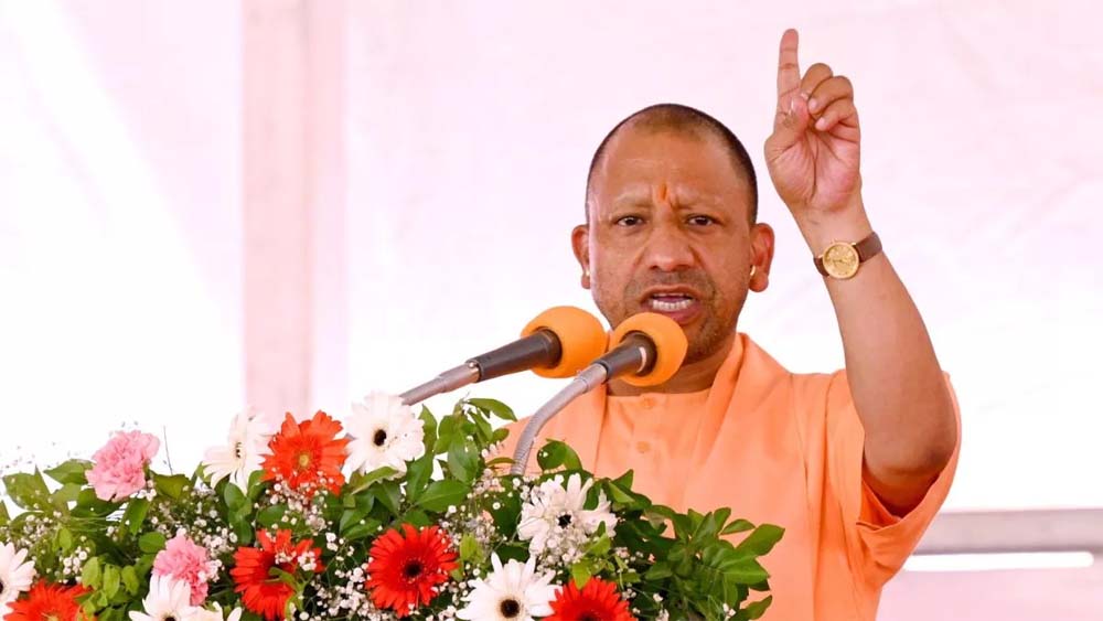 Yogi 14.jpg