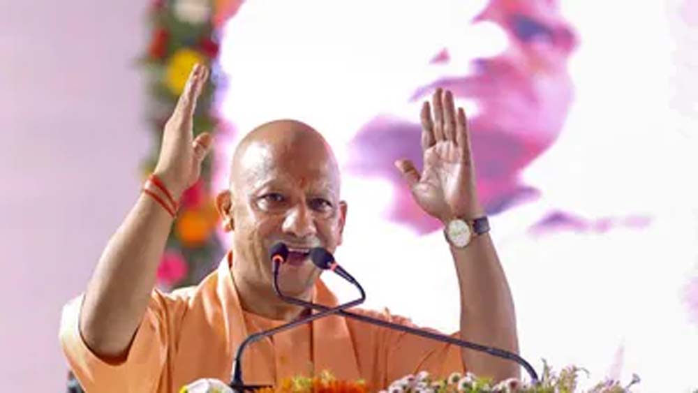 Yogi 5.jpg