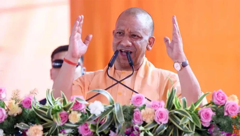 Yogi 8.jpg