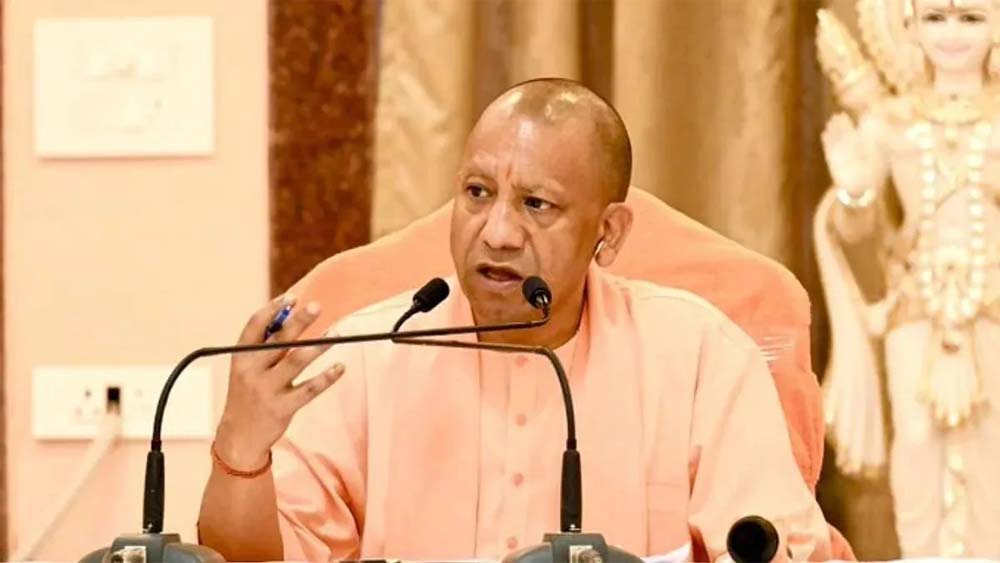 Yogi3 5.jpg