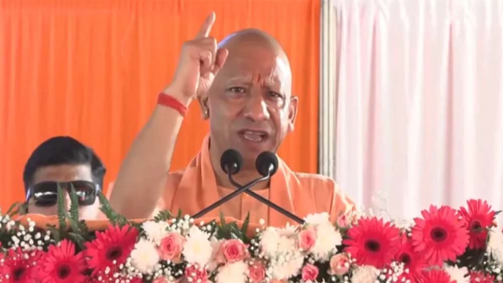 Yogi6.jpg